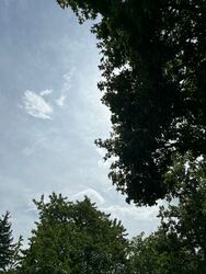 Balatonudvari