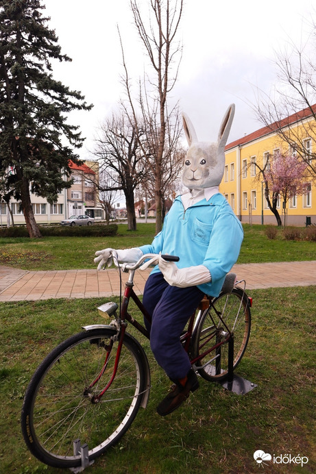 Úton Nyuszi úr!