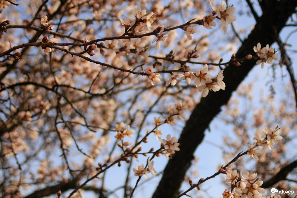 Zuümmögnek ám ...