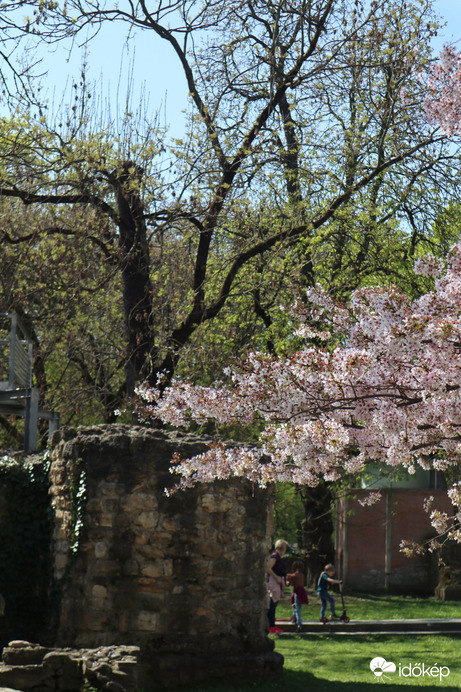Margit -sziget
