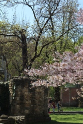 Margit -sziget
