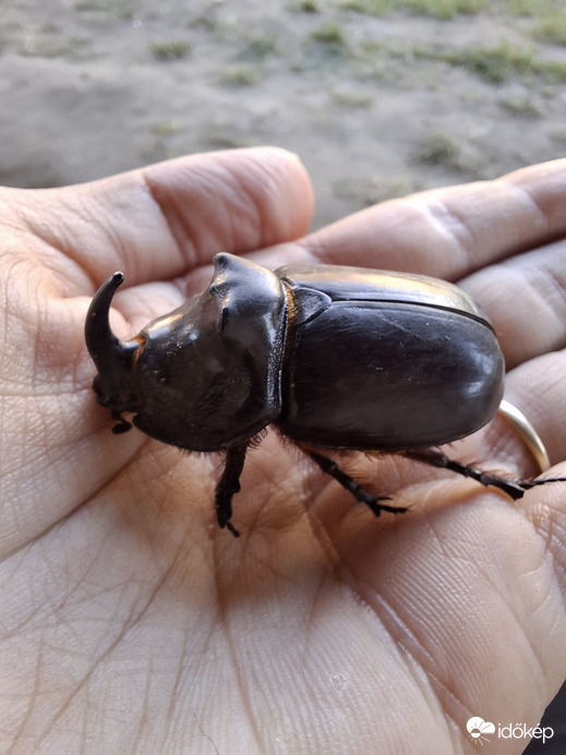 Biharkeresztes