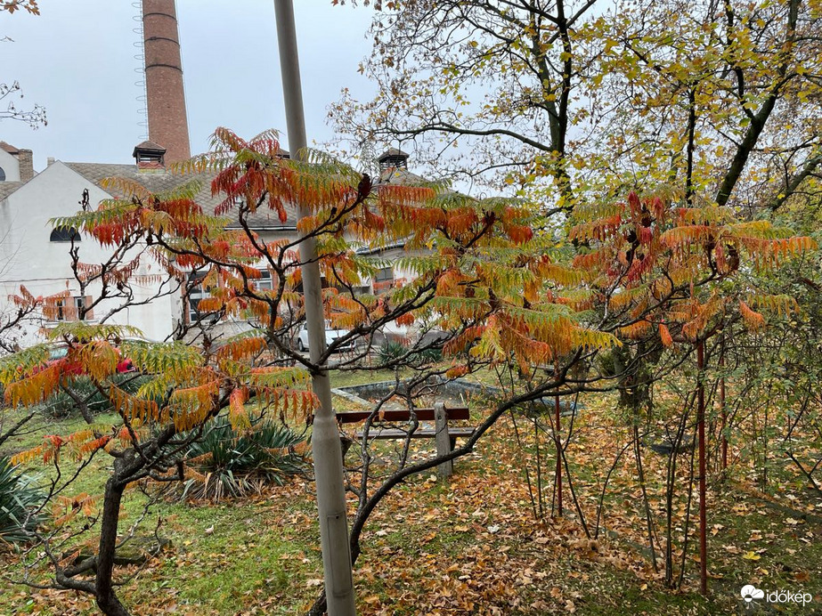 Budapest IV.ker - Újpest