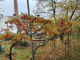 Budapest IV.ker - Újpest