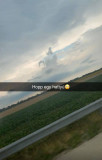 fececom fotója