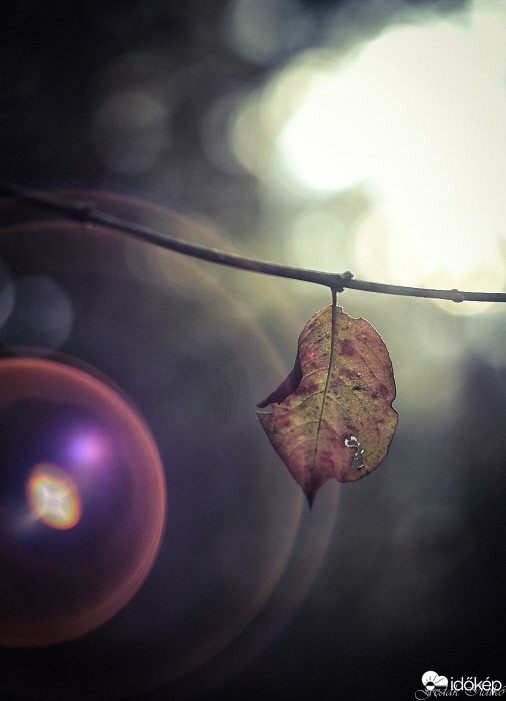 Budapest IV.ker - Újpest