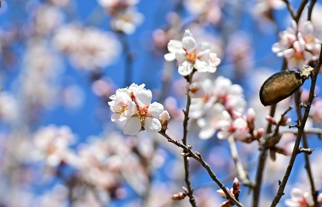 Budapest IV.ker - Újpest