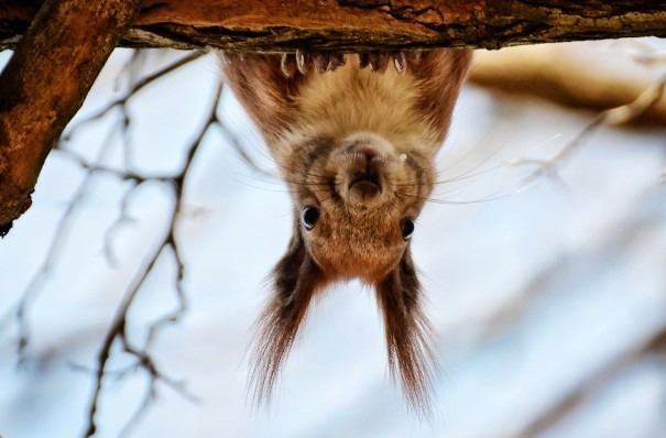 Budapest IV.ker - Újpest