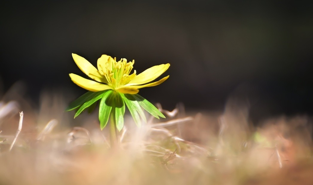 Budapest IV.ker - Újpest