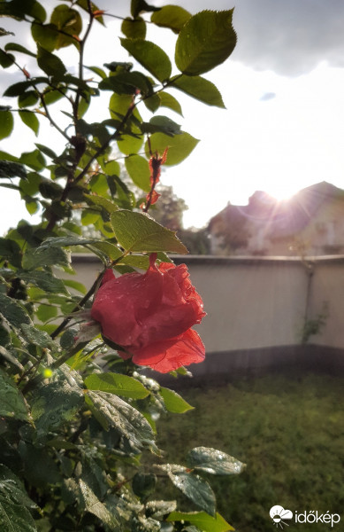 Budapest IV.ker - Újpest