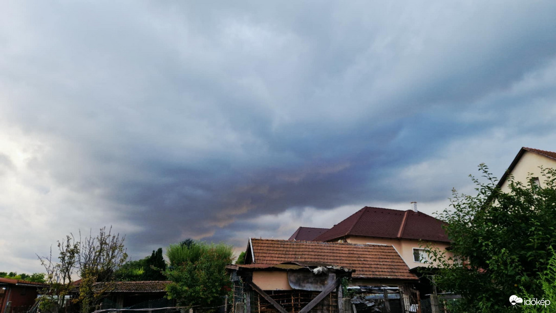Sülysáp