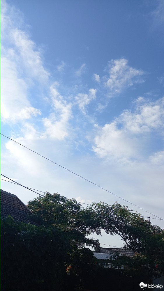 Feketegyarmat
