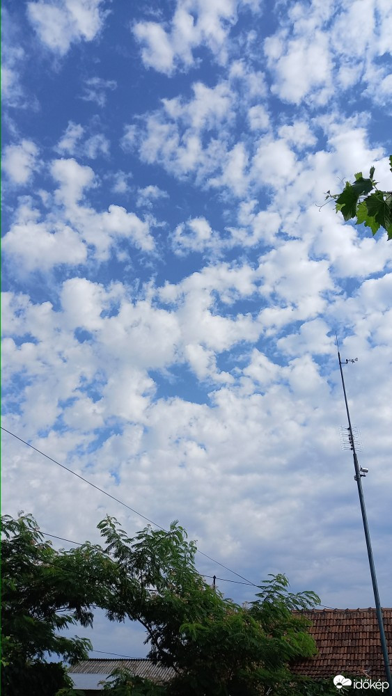 Feketegyarmat