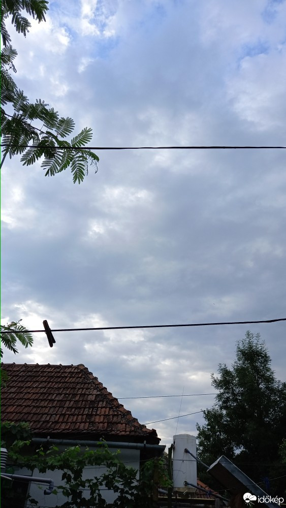 Feketegyarmat