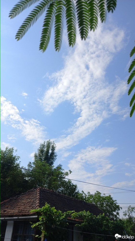 Feketegyarmat