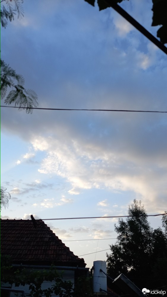 Feketegyarmat