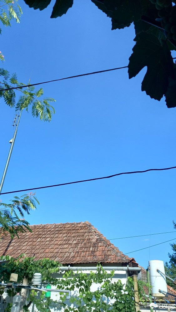 Feketegyarmat