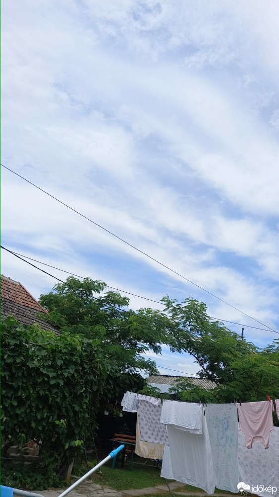 Feketegyarmat