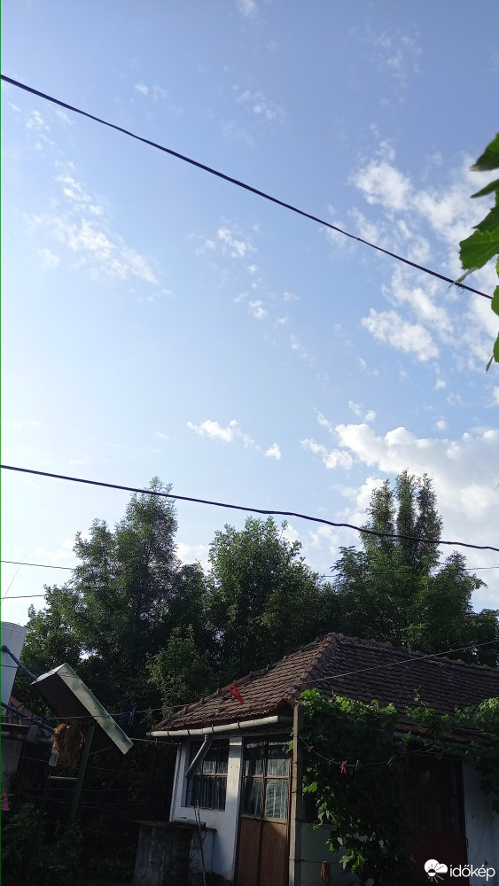 Feketegyarmat