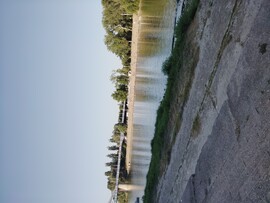 Szeged