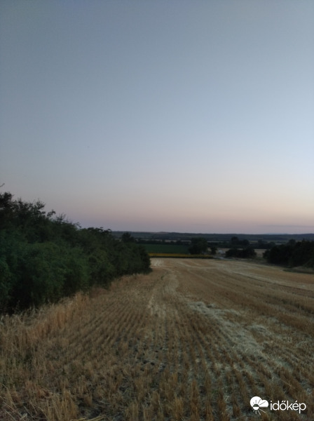 Learatták a búzát