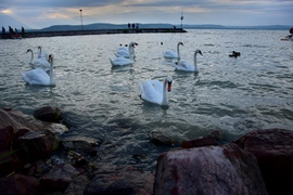 Balatonlelle
