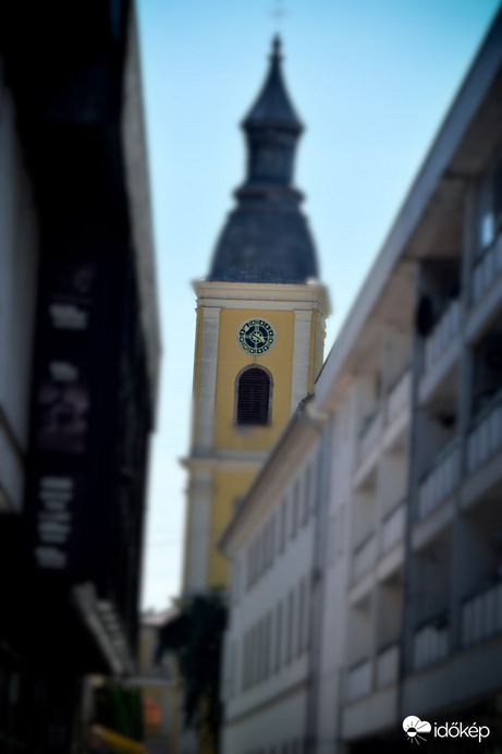 Toronyóra