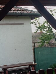 Kertészsziget