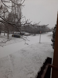 Kalocsa