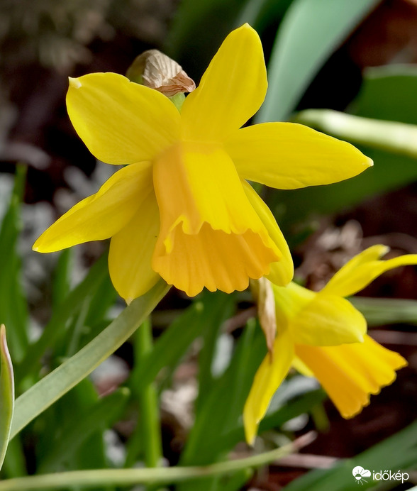 Lélekgyönyörködtető