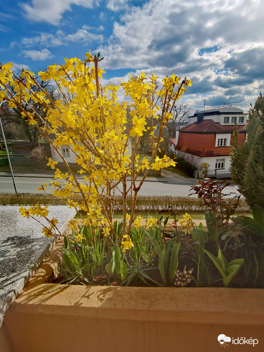 A balkonon is tavasz van! 