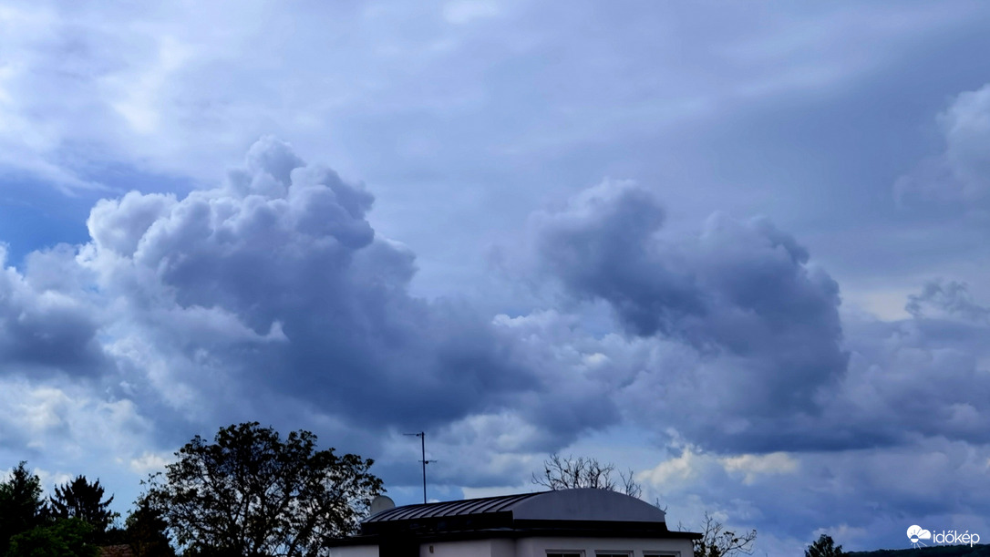 Már reményteljes... 