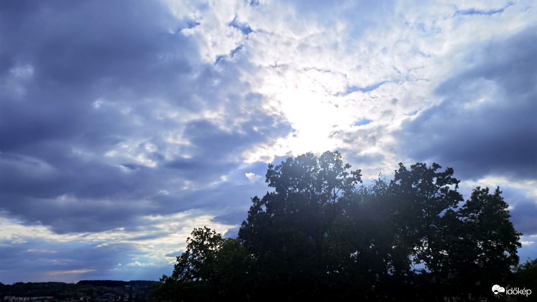 Már reményteljes... 