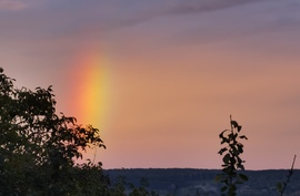 Szivárvány
