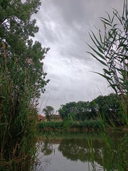 Békésszentandrás