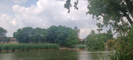 Békésszentandrás