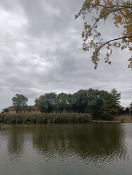 Békésszentandrás
