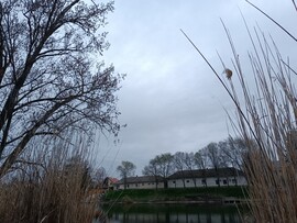 Békésszentandrás