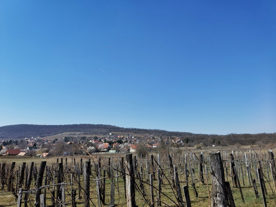 Balatonrendes