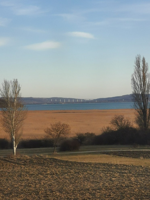 Aszófő