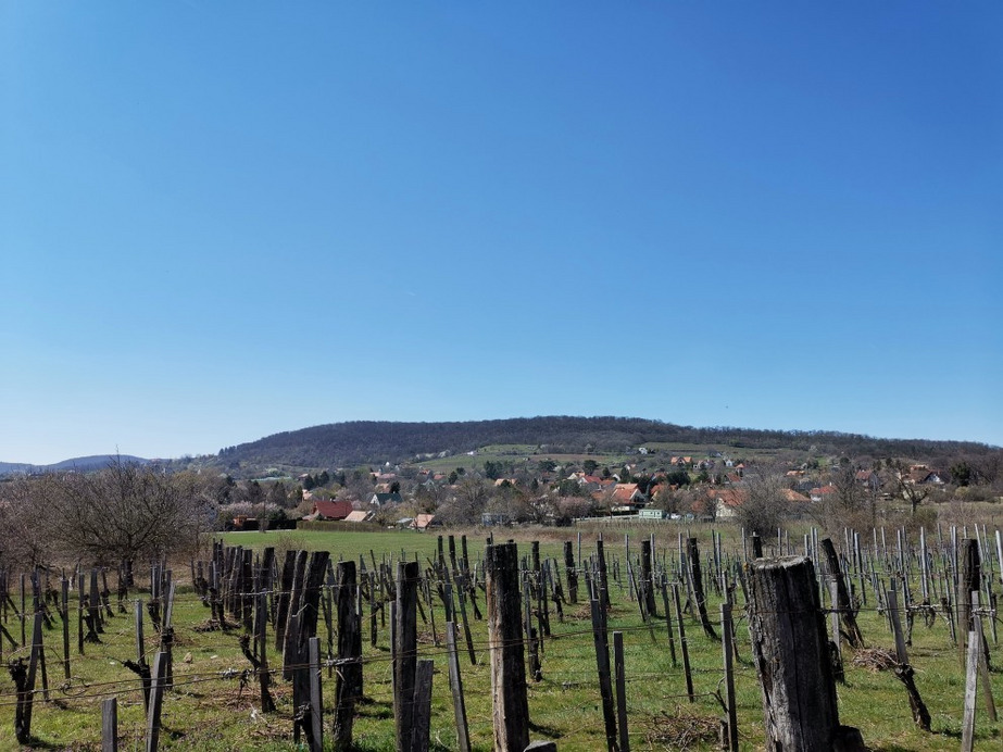 Balatonrendes