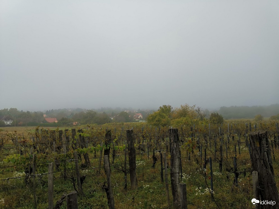Balatonrendes