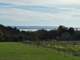 Balatonrendes