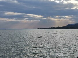 Balatonrendes
