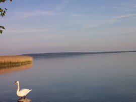 Balatonrendes
