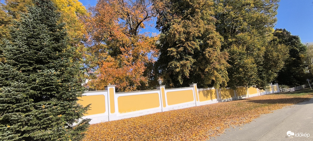 Kutas