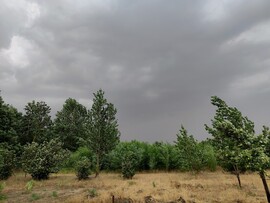 Csongrád