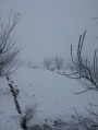 Miske