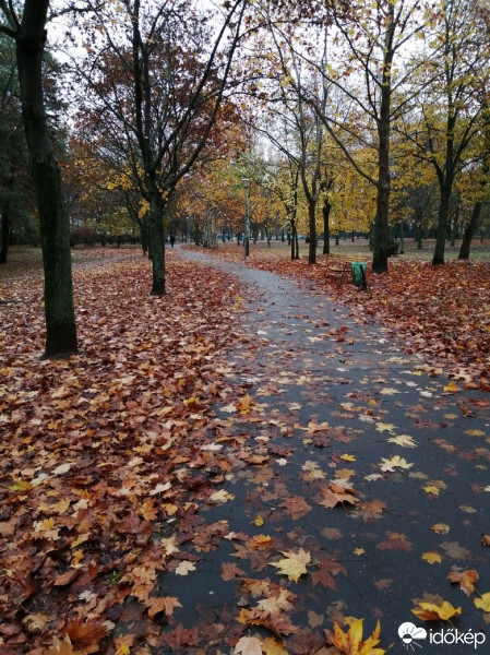 Budapest XV.ker - Pestújhely