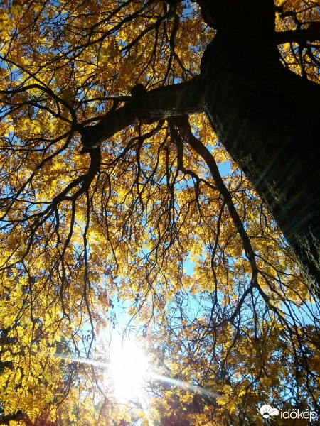 Budapest XV.ker - Pestújhely